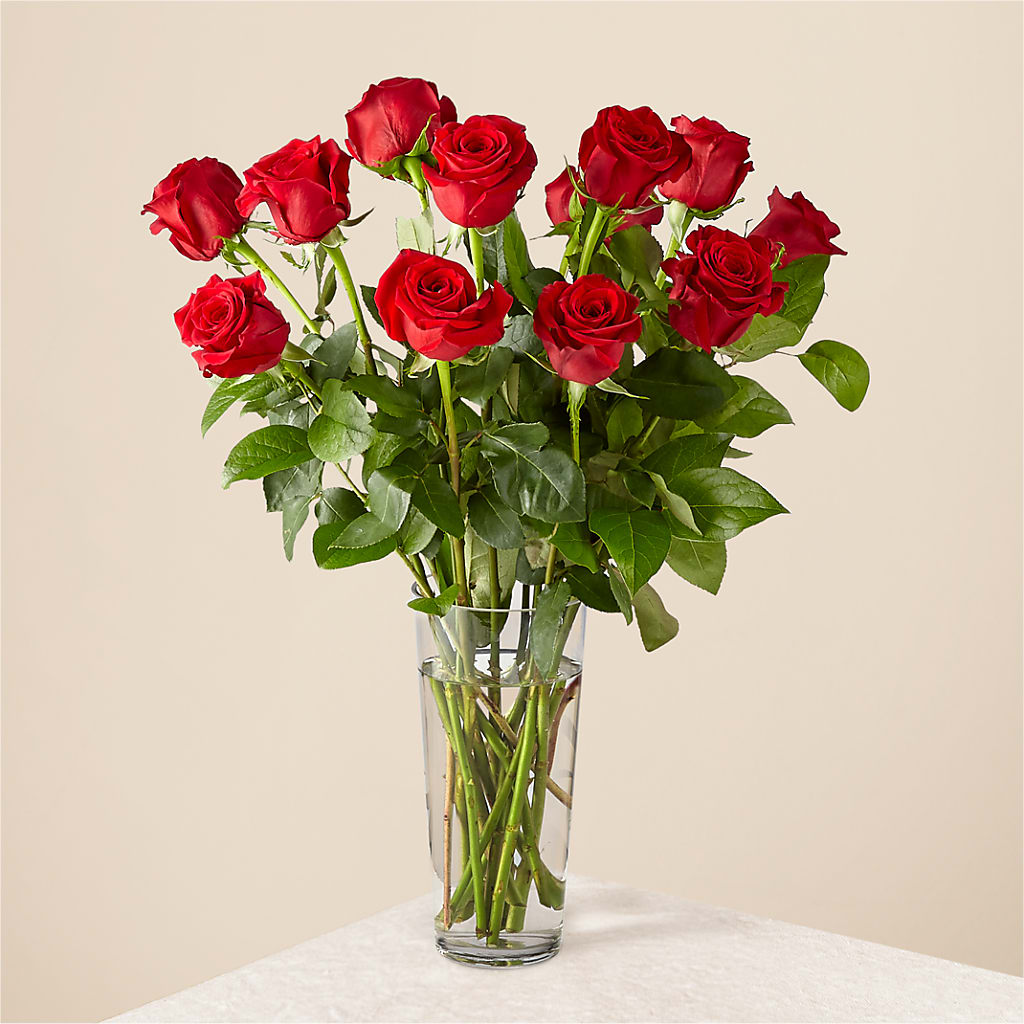 Long Stem Red Rose Bouquet – Imperial Flower Shop Ltd, Brampton ON