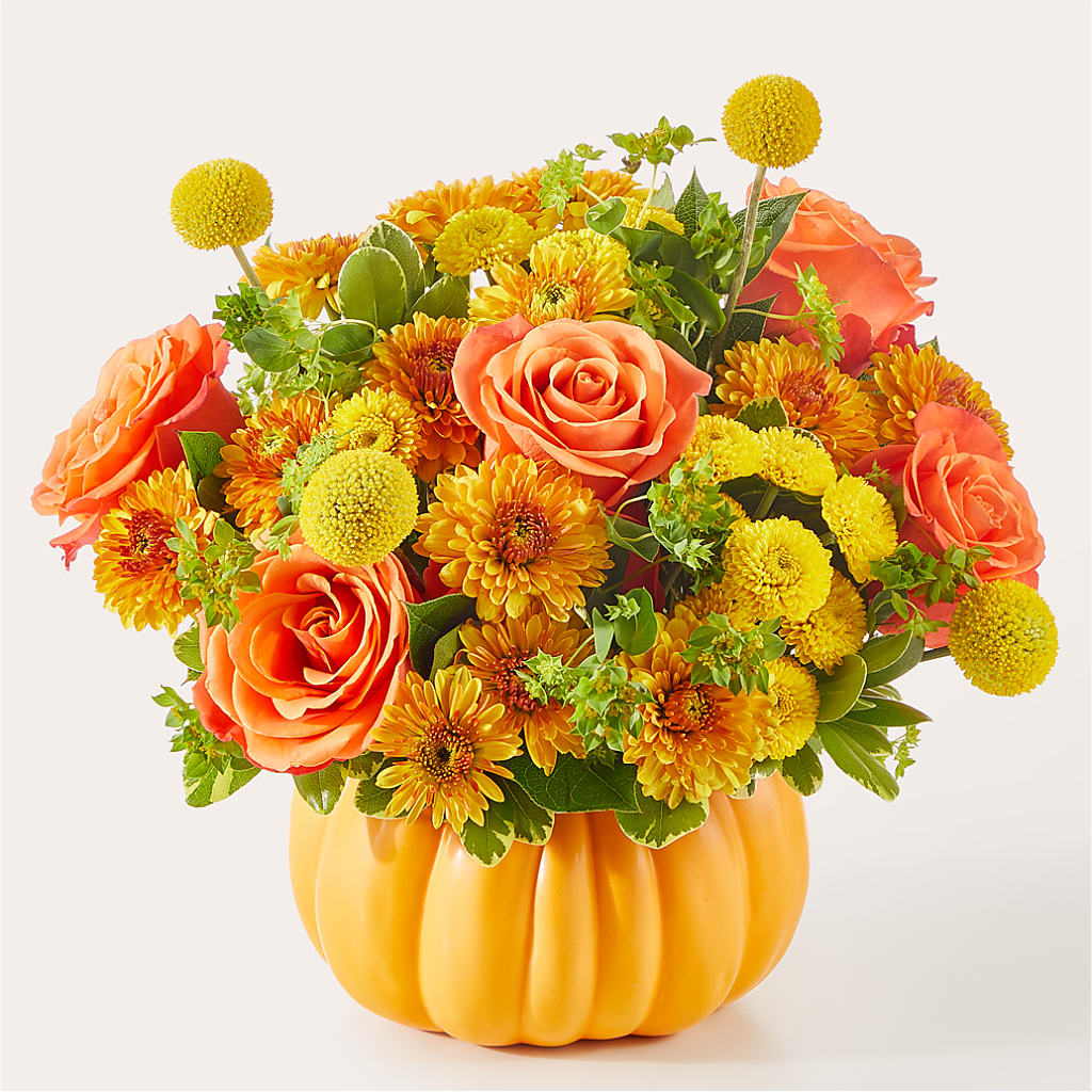 Gourdgeous Pumpkin – Imperial Flower Shop Ltd, Brampton ON