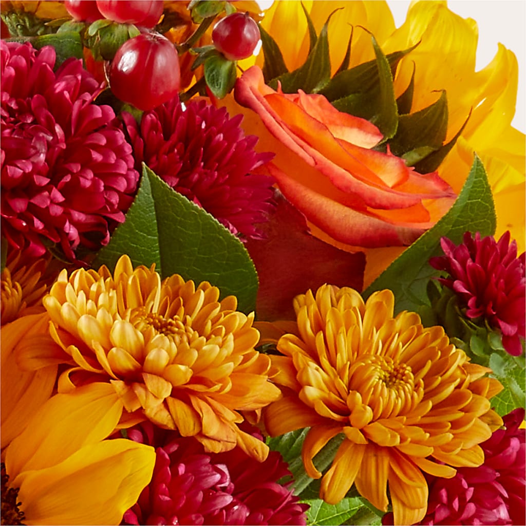 Sweater Season - A Florist Original – Imperial Flower Shop Ltd, Brampton ON