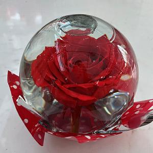 Forever Rose Globe – Imperial Flower Shop Ltd, Brampton ON