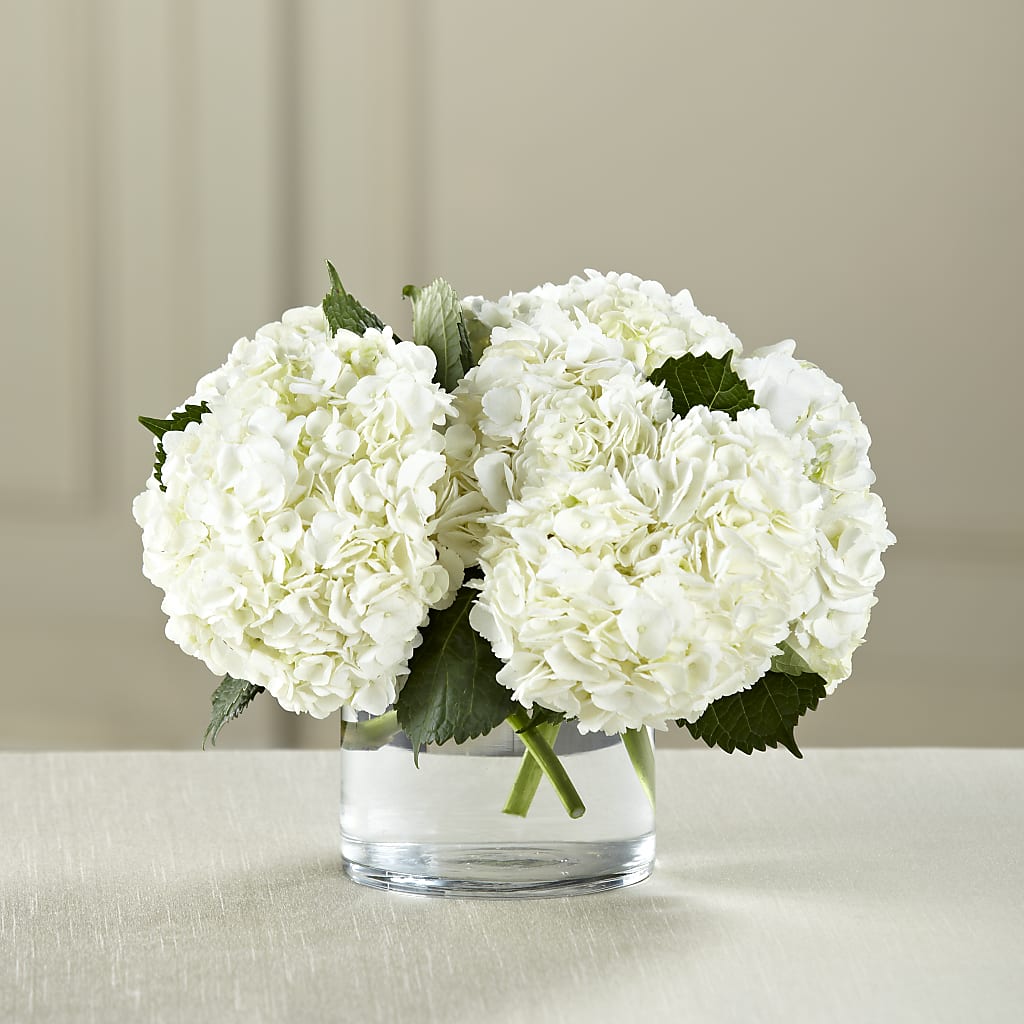 White Hydrangea Bouquet – Imperial Flower Shop Ltd, Brampton ON