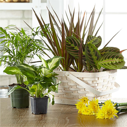 Plantas verdes y florecientes diseñadas por floristas en una canasta