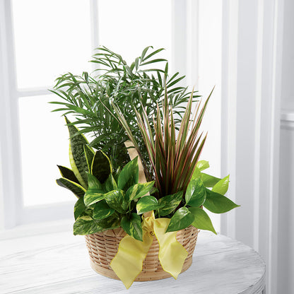 French Garden –  Imperial Flower Shop Ltd, Brampton ON