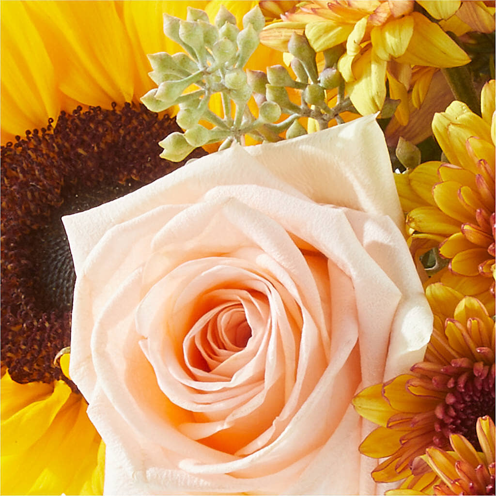Pumpkin to Talk About Bouquet –  Imperial Flower Shop Ltd, Brampton ON