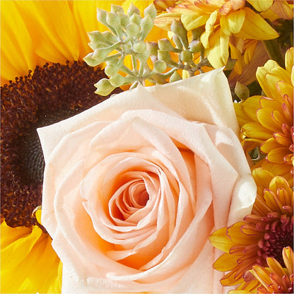 Pumpkin to Talk About Bouquet –  Imperial Flower Shop Ltd, Brampton ON