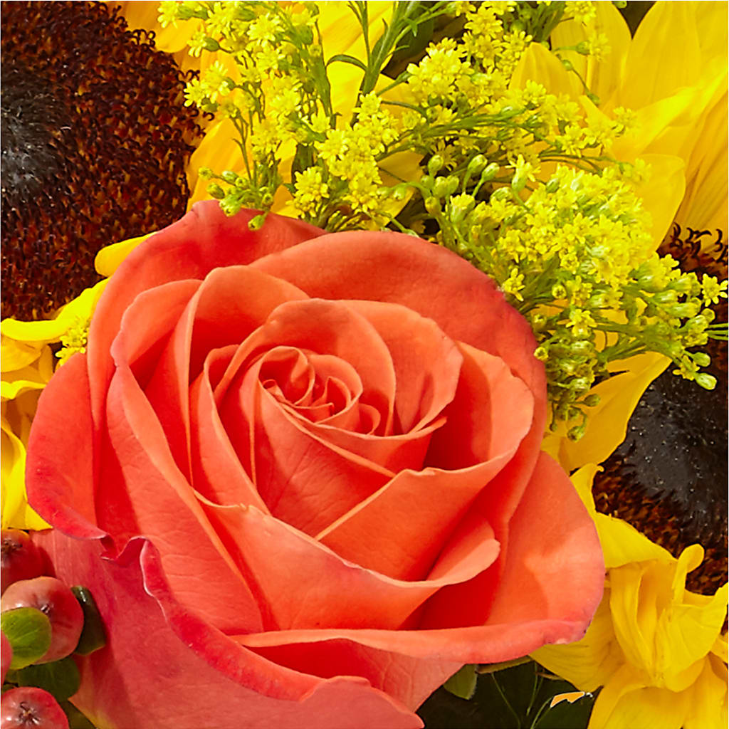 Pick of the Patch Pumpkin Bouquet –  Imperial Flower Shop Ltd, Brampton ON