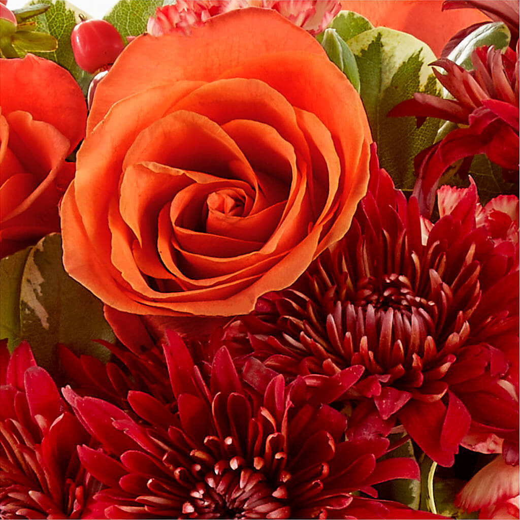 Autumn Air Pumpkin Bouquet –  Imperial Flower Shop Ltd, Brampton ON
