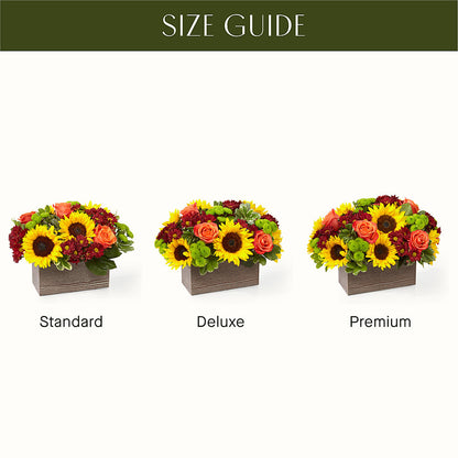Happy Harvest Garden –  Imperial Flower Shop Ltd, Brampton ON