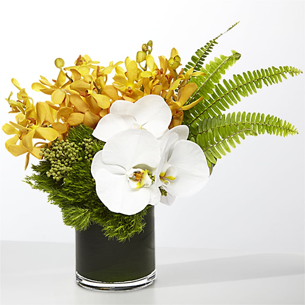 The Tropics –  Imperial Flower Shop Ltd, Brampton ON