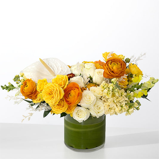 The Optimist –  Imperial Flower Shop Ltd, Brampton ON