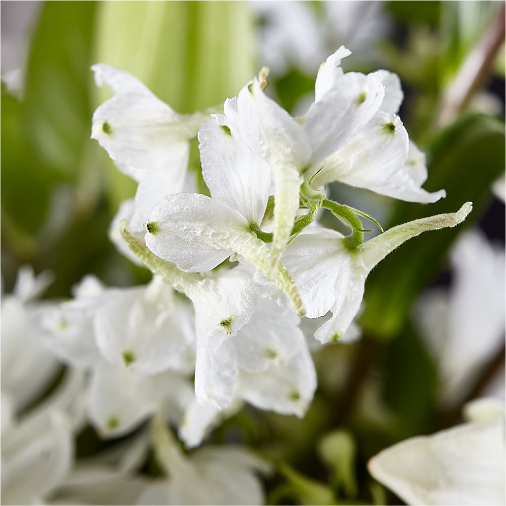 Classic Ivory – A Florist Original –  Imperial Flower Shop Ltd, Brampton ON