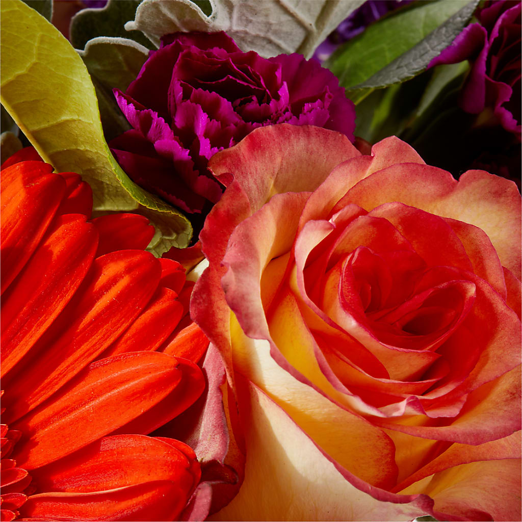 Sangria Bouquet –  Imperial Flower Shop Ltd, Brampton ON
