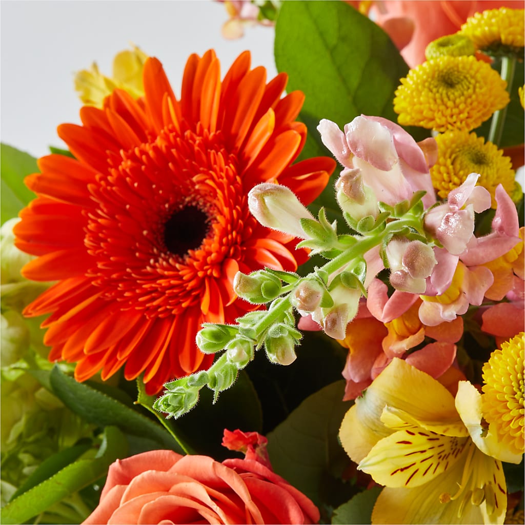 Autumn Sunshine Bouquet –  Imperial Flower Shop Ltd, Brampton ON