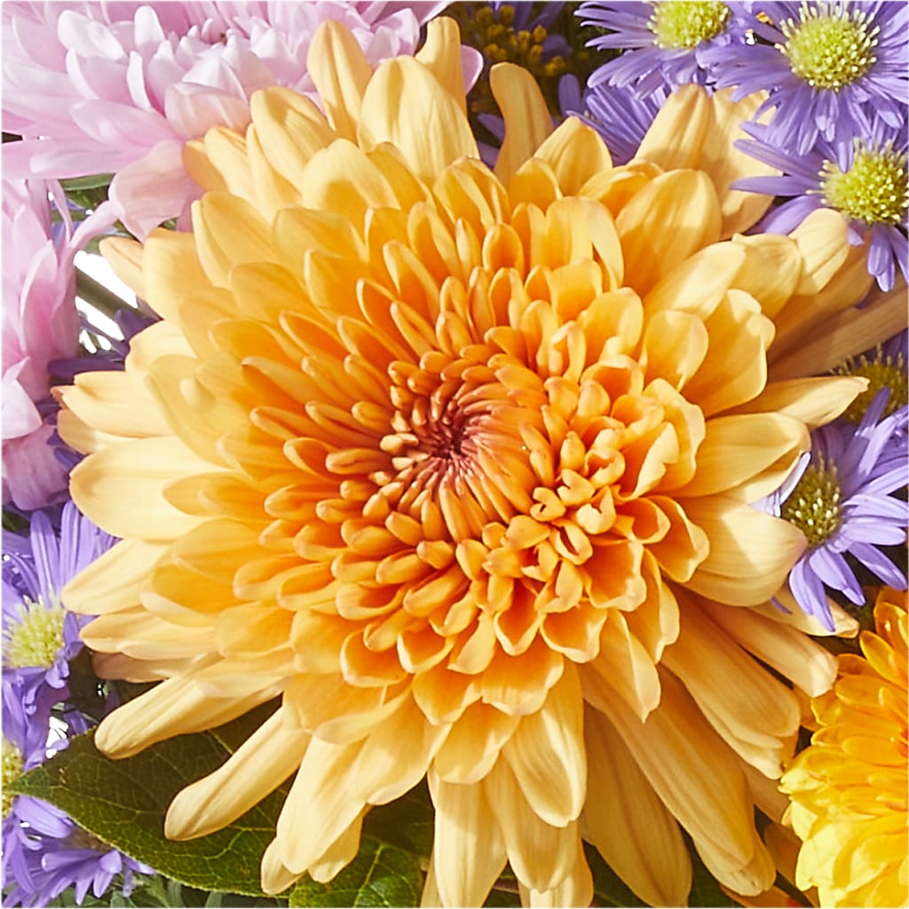 Countryside Bouquet –  Imperial Flower Shop Ltd, Brampton ON