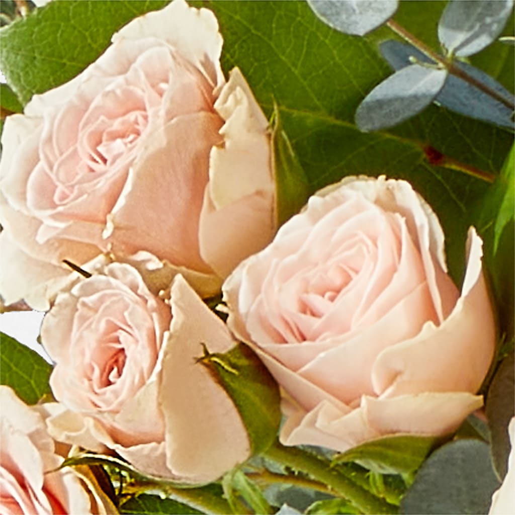 Inspired Bouquet –  Imperial Flower Shop Ltd, Brampton ON