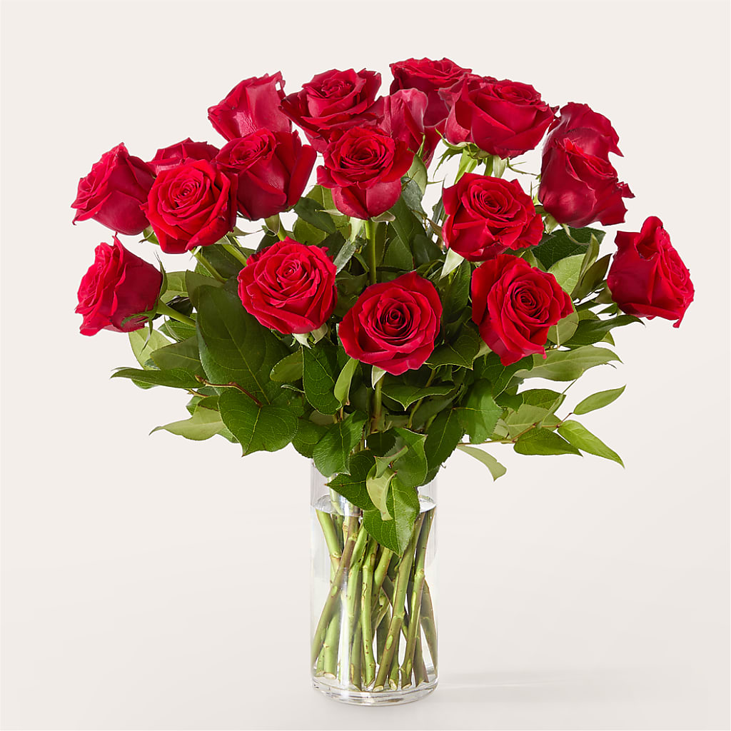 The One Red Rose Bouquet –  Imperial Flower Shop Ltd, Brampton ON