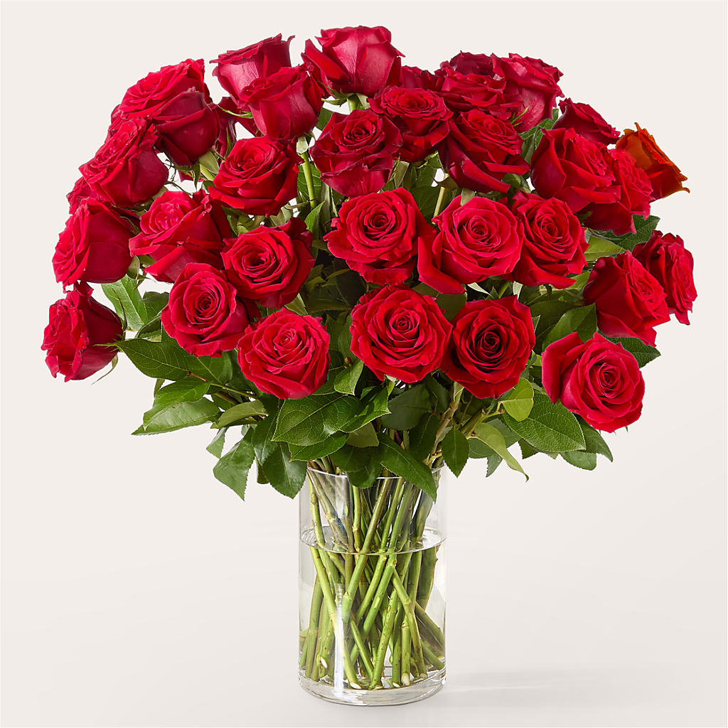 The One Red Rose Bouquet –  Imperial Flower Shop Ltd, Brampton ON