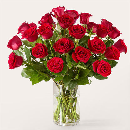 The One Red Rose Bouquet –  Imperial Flower Shop Ltd, Brampton ON