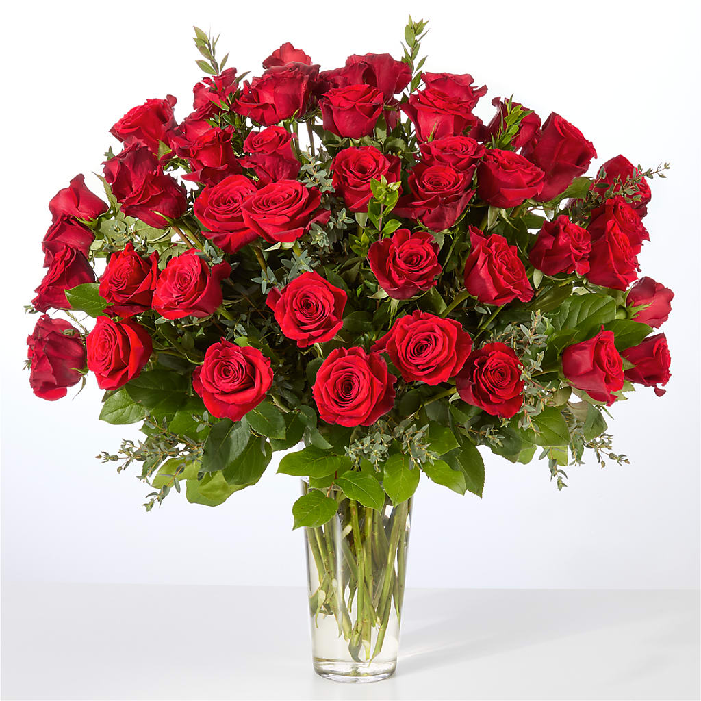 Forever Yours Fifty Stem Red Rose Bouquet –  Imperial Flower Shop Ltd, Brampton ON