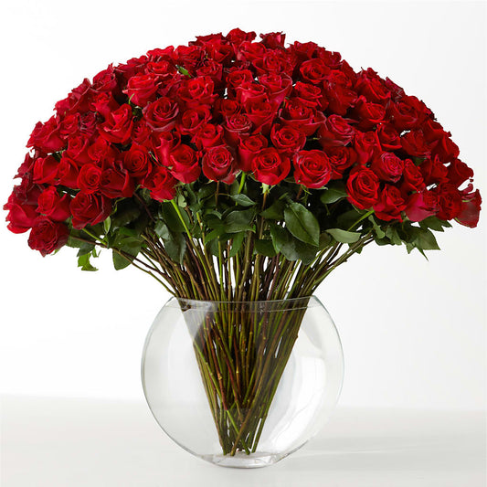 The Idealist –  Imperial Flower Shop Ltd, Brampton ON