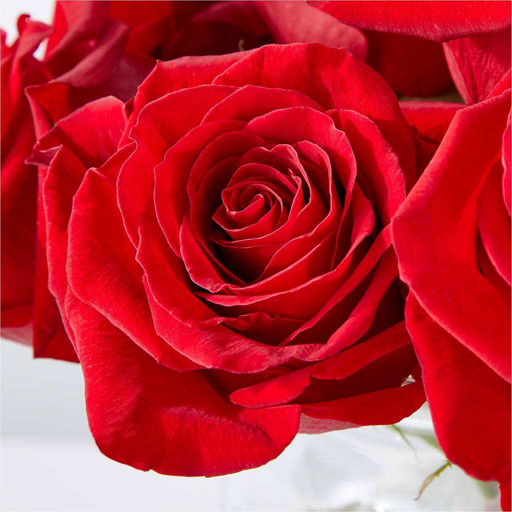 Cupid's Embrace Red Rose Bouquet –  Imperial Flower Shop Ltd, Brampton ON