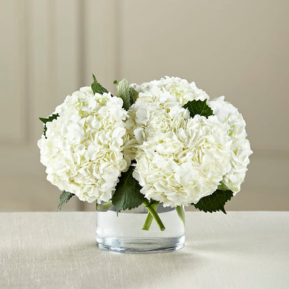 White Hydrangea Bouquet –  Imperial Flower Shop Ltd, Brampton ON