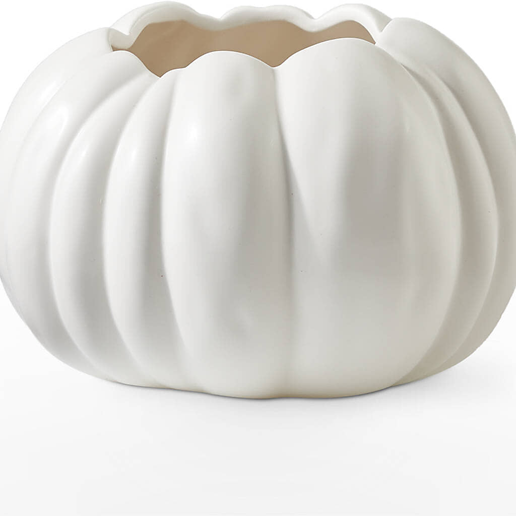Pumpkin to Talk About Bouquet –  Imperial Flower Shop Ltd, Brampton ON